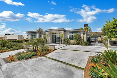 Example of a large trendy home design design in Orange County