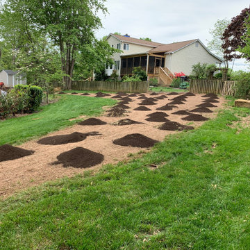 Lawn renovation