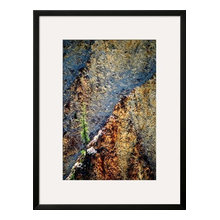 cypress-artwork