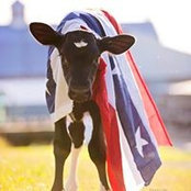 Brittany Watson's photo