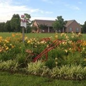 Connie Orman's photo