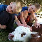 Katy Merrick's photo