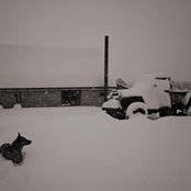 Photo de Jacob Williams