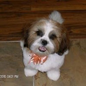 Kathy Angvik's photo