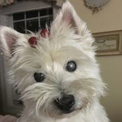 Kelly Meyer's photo
