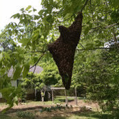 Chris Apple's photo