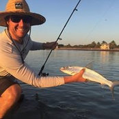 Paul Vargo's photo