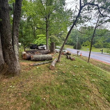 Complete Outdoor Property Improvement and Tree Service