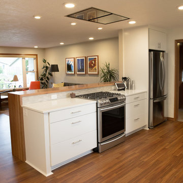 Mid Century Modern Kitchen
