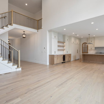 Modern Transitional Madison | Downtown Naperville, IL