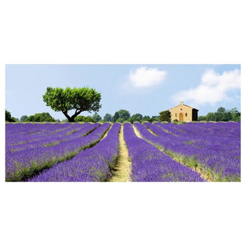 "Lavender Fields, France" Digital Paper Print by Pangea Images, 26"x14"