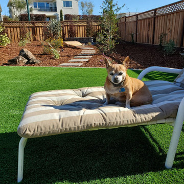 Synthetic Lawn & Putting Greens