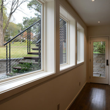 Tree Line Modern