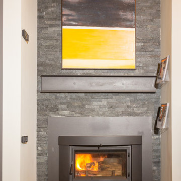 Wood Burning Fireplace Insert