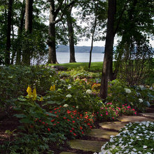 Landscape Ideas