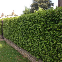 Outdoor Features