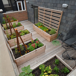 Inspiration for a mid-sized modern rooftop full sun formal garden in Chicago with a vegetable garden and decking.