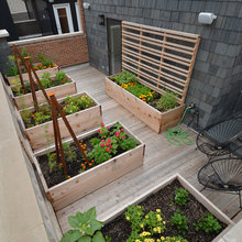 side garden next to kitchen