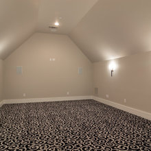 Theatre Room