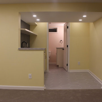 Basement Transformation