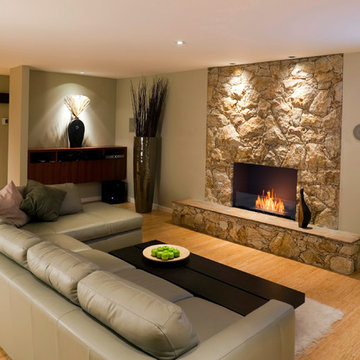 Flex 32SS Single Sided Fireplace