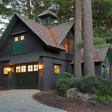 Eastern White Pine
