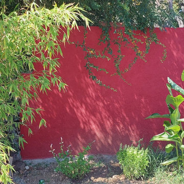 Jardin bambou et mur rouge