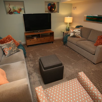 Basement and Wine Cellar Remodel in Naperville, IL