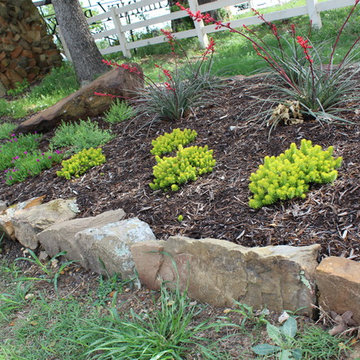 Crazy Daisy Flower Mound Project