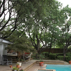 cut down a damaged tree service - Products