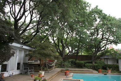 cut down a damaged tree service