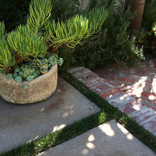 patio 1