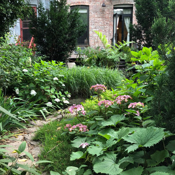 shade garden