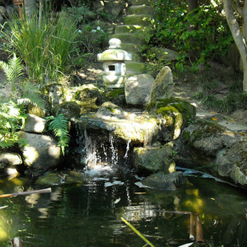 Japanese Garden