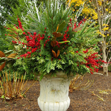 Winter Containers