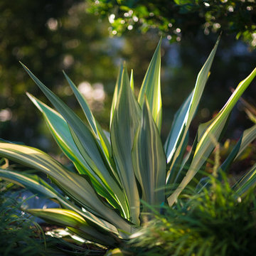 Bird Key Garden