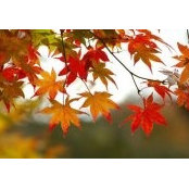 Lorree P's photo
