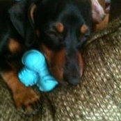 Jeanne-Marie Scott's photo