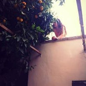 Photo de Shiri Darel