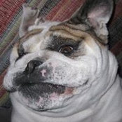 Kris Wohnsen's photo