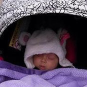 Jeanette Meyer's photo