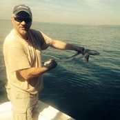 Michael Audet's photo