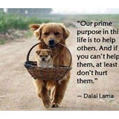 Lora Chiem's photo
