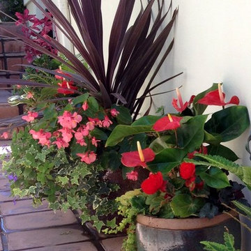 Container Garden