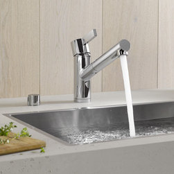 Kitchen Faucets - Kitchen Faucets