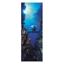 American Wallpaper & Design - Shark Mural Wallpaper for Door - Wallpaper