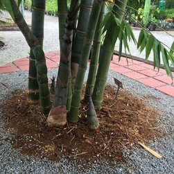 Bamboo installations - Gardening And Lawn Care