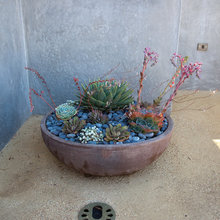 garden containers