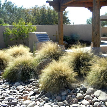 Southwestern Plants