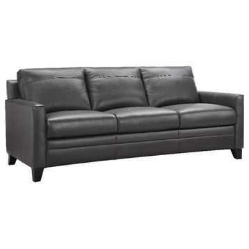 Bowery Hill Contemporary Geuine Leather & Hardwood Sofa in Charcoal